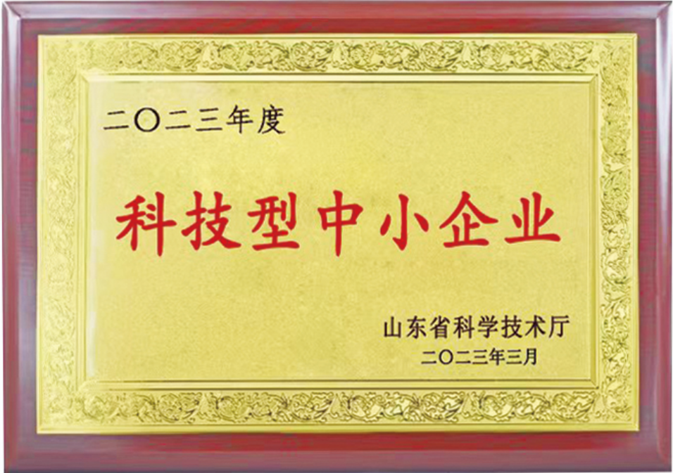 科技型中小企业